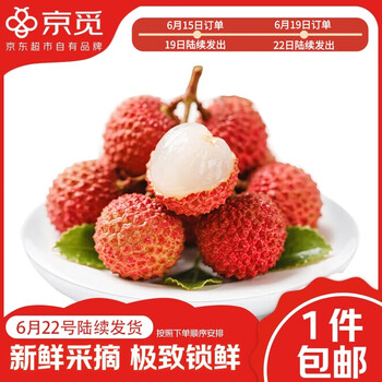 京觅 广东桂味荔枝净重4.5斤装单果13g+ 当季水果 源头直发