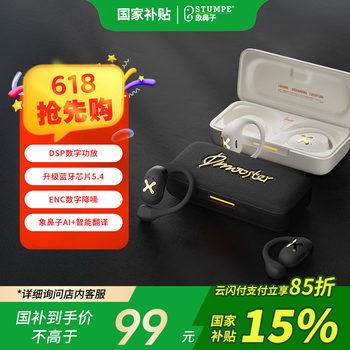 象鼻子 骨传导无线蓝牙耳机 开放式OWS耳挂 D73黑色
