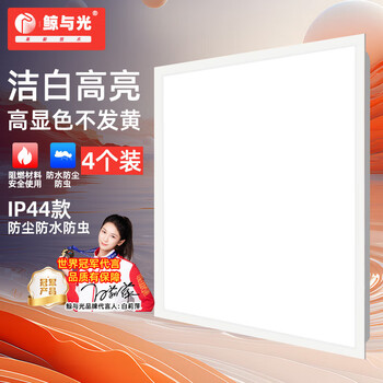 鲸与光 集成吊顶灯led嵌入式灯平板灯面板灯办公室照明灯嵌入式灯石膏板扣板灯 60*60cm白光48W 4个装