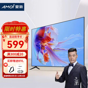 夏新 32/40/43/50/55/60/65/70/75/86/100英寸4K防爆电视机网络智能超大屏金属边超薄语音投屏会议平板 45英寸 高清电视版(挂架+高清线)