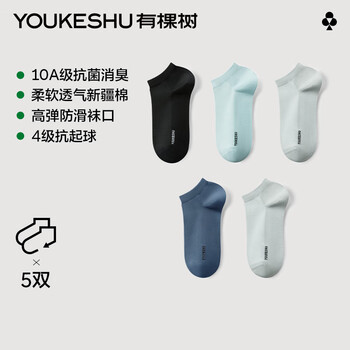 有棵树 男士10A抗菌透气网袜 5双