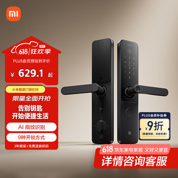 小米 Xiaomi XMZNMST10LK 智能门锁 E30