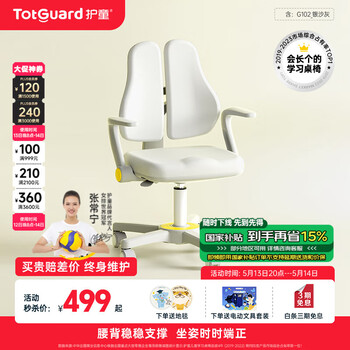 护童（Totguard）儿童学习椅写字椅小学生家用可升降调节靠背座椅升降椅电脑椅脚踏 G102_银沙灰