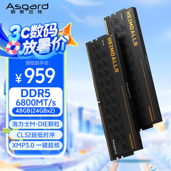 阿斯加特(Asgard)48GB(24GBx2) DDR5 6800 台式机内存条 海姆达尔 马甲条 海力士M-die CL32 黑厚甲