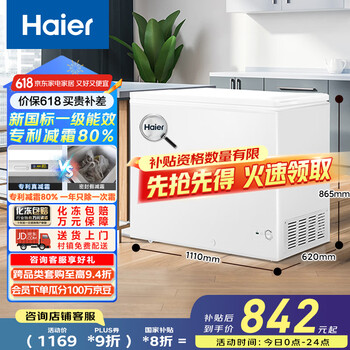 海尔 Haier BC/BD-300GHD 冰柜 300升