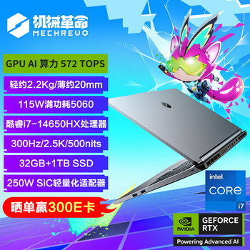 机械革命极光X 潮玩版 酷睿i7HX 游戏本笔记本电脑(i7-14650HX 32G 1T RTX5060 2.5K屏 300Hz 灰)