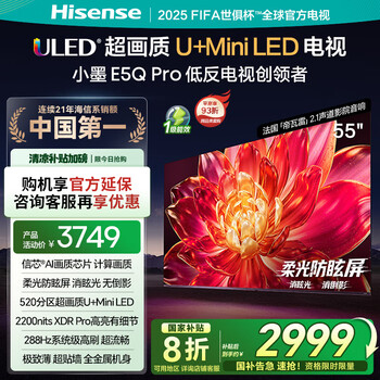 海信小墨E5Q Pro 55英寸 超画质U+Mini LED 信芯芯片 柔光防眩屏 288Hz高刷 E5NPRO升级 55英寸