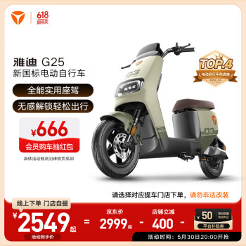 雅迪 G25-D 电动自行车