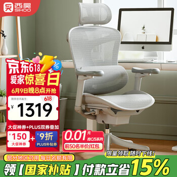 西昊 Doro C100 人体工学椅 云白