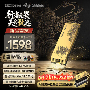 PLUS会员：致态 TiPro9000 《黑神话：悟空》联名版 M.2接口(NVMe协议) 固态硬盘 2TB