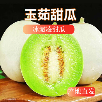 鲁韵忆乡【爆甜】山东玉菇甜瓜 新鲜水果冰淇淋绿肉蜜瓜玉茹白皮整箱批发 玉茹甜瓜净重4.5斤