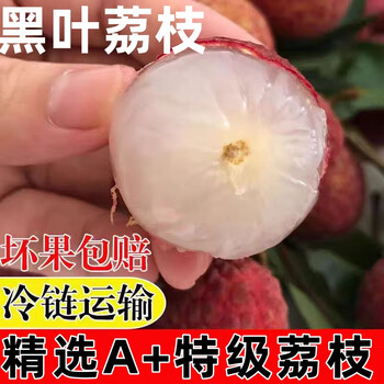 鲜级佳 福建黑叶荔枝 4.5斤 18g+