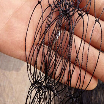 果树户外鸡防逃网野鸡网果园网捕捉园林轮胎线鸟网防护网地捕网 黑