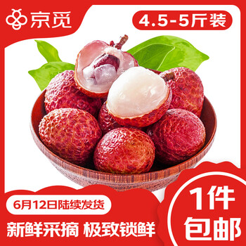 京觅 黑叶荔枝4.5-5斤装单果16g+ 源头直发 黑叶荔枝4.5-5斤装