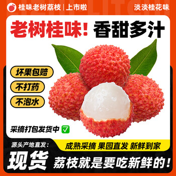荔皇 广东高州正宗桂味荔枝 冷链包邮 净重4.5斤