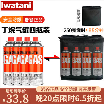 岩谷(Iwatani)卡式炉气罐燃气煤气体便携气瓶250g卡磁炉喷抢瓦斯丁烷罐安全防爆 原装250g*4+收纳袋