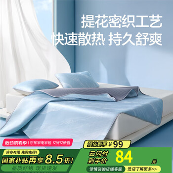 网易严选冰丝席夏季家用凉席用品水波纹冰丝席床单床笠枕套件套凉席 水波蓝-床单款 120cm*200cm (两件套)