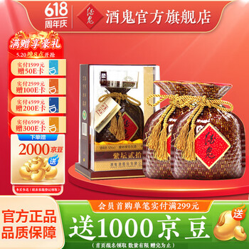 酒鬼 JIUGUI） 酒52度紫坛贰拾 高度白酒 馥郁香型白酒 52度 500mL 2瓶 两瓶装
