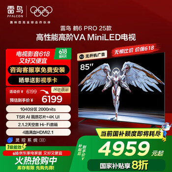 雷鸟 鹤6 PRO 25款 85S595C Pro MiniLED家智能平板电视 85寸