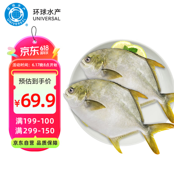 环球水产 UNIVERSAL 冷冻金鲳鱼 1kg/2条装 生鲜 鱼类 深海鱼 海鲜水产