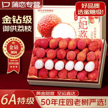 蒲恋 海南妃子笑荔枝 当季新鲜水果整箱 3斤装丨净重2.5斤 荔枝 水果