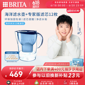 PLUS会员：碧然德 过滤净水器 家用滤水壶 净水壶1芯+专家版滤芯12枚（含附件）