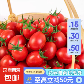 冰糖水果小番茄高山圣女果小西红柿早餐减肥减脂生鲜新鲜蔬菜 高山圣女果 2斤 净重