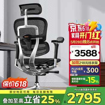Ergonor【重磅新品】保友金豪L2电竞人体工学椅久坐电脑家用办公老板座椅 黑色美国网 整椅发货 送货上门