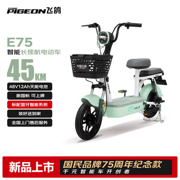 飞鸽 电动自行车 48V12Ah