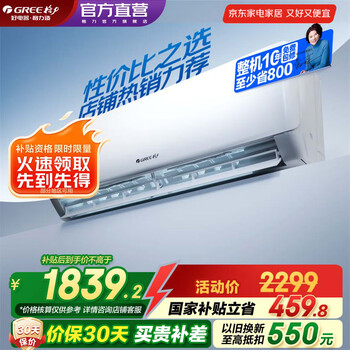 格力(GREE)空调 大1匹/1.5匹 天仪 新一级能效 变频冷暖自清洁 卧室空调挂机 家电国家补贴 以旧换新 大1匹 一级能效 天仪挂机