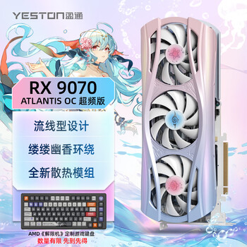 盈通(yeston)AMD RADEON RX 9070 -16GD6 樱瞳水着 Atlantis OC 超频版 电竞直播 视频剪辑 游戏显卡