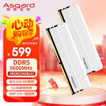 阿斯加特(Asgard)48GB(24GBx2) DDR5 5600 台式机内存条 海拉 马甲条 海力士M-die CL40 星光银