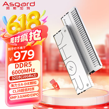 阿斯加特 雷神索尔-星光银DDR5 6000 台式机内存条 32GB(16Gx2)套装 海力士 CL28