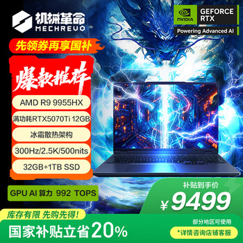 机械革命 苍龙16X Pro 16英寸游戏电竞笔记本电脑(R9-9955HX 32G 1T RTX5070Ti 300HZ 2.5K 灰色 )