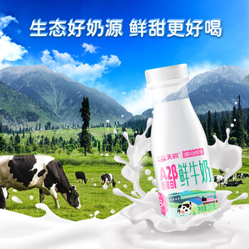 天润 新疆 A2β-酪蛋白鲜牛奶 210g*12瓶
