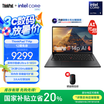 hinkPad【 国家补贴20%】T14p AI 酷睿Ultra处理器 联想高性能标压工程师本笔记本电脑办公轻薄本 Ultra 9-185H 32G 1T 03CD