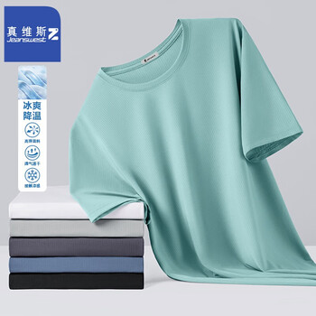 真维斯(JEANSWEST Z+)冰丝短袖男夏薄款宽松青少年网眼凉感日常简约半袖速干速干衣T恤 豆绿 2XL