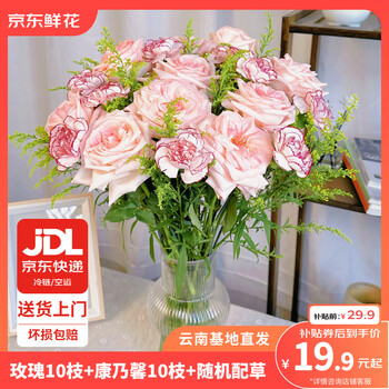 PLUS会员：京东鲜花 玫瑰康乃馨 20枝花束