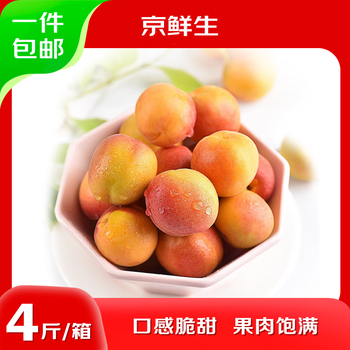 移动端、京东百亿补贴：京鲜生 新疆吊干杏 净重4斤 单果12g+  生鲜水果 源头直发