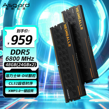 阿斯加特 48GB(24GBx2) DDR5 6800 台式机内存条 海姆达尔 马甲条 海力士M-die CL32 黑厚甲