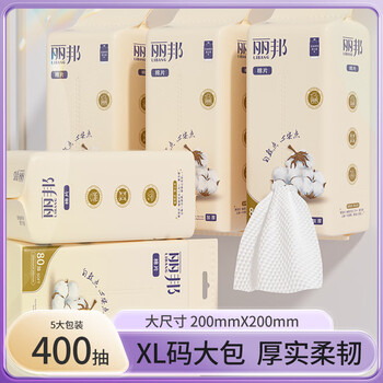 丽邦洗脸巾悬挂式抽取加大加厚母婴擦脸巾干湿两用洁面巾 80抽*5包