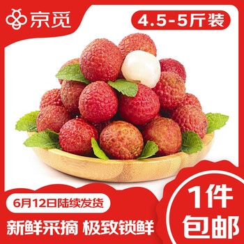 京觅 桂味荔枝4.5-5斤装单果13g+ 源头直发