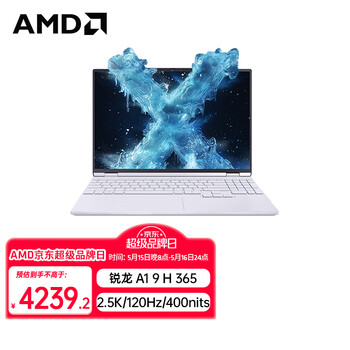 机械革命【国家补贴20%】无界15X Pro 暴风雪(AI 9H 365 32G 1T 99Wh 120Hz 2.5K )轻薄本办公笔记本电脑