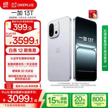 一加 OnePlus 13T 5G手机 16GB+512GB 晨雾灰