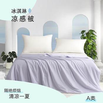 2.0ProA类双面凉感丝空调被冰丝夏凉被可机洗被芯夏季薄款被子 紫罗兰 150*200cm