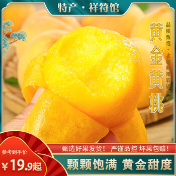 骑猴赶马 新鲜黄桃 净重4.5斤 【单果100-110g】