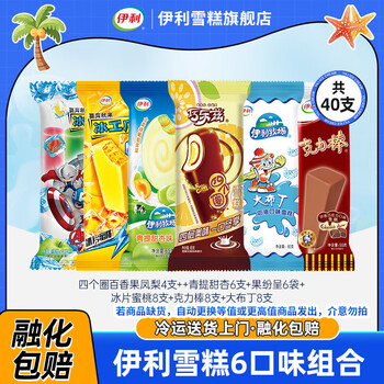 伊利 冰淇淋雪糕 共40支（2682g）