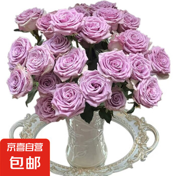 云南玫瑰基地直发颜色随机8枝+送2枝(防损) 品种颜色随机8支+送两枝防损