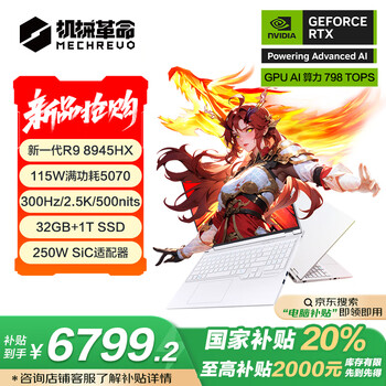 机械革命蛟龙16 Pro(R9-8945HX RTX5070 32GB 1TB)