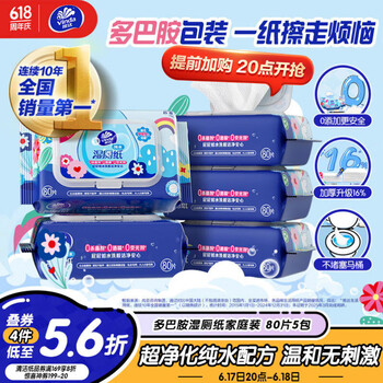 维达 湿厕纸 80片*5包